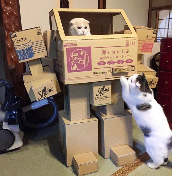 Для этих кошек владельцы готовы построить хоть замок