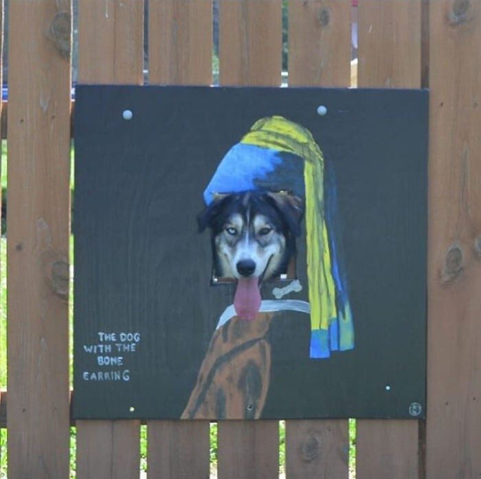 Хозяин сделал своего пса звездой забор-шоу