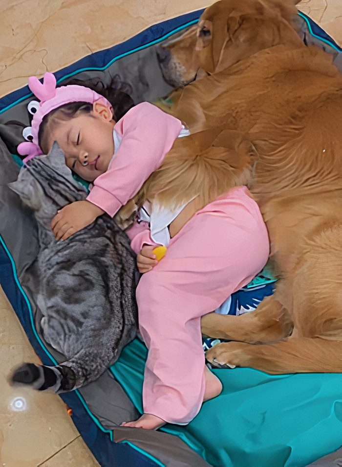 Маленькая девочка, которая укладывает спать пёсика и котика