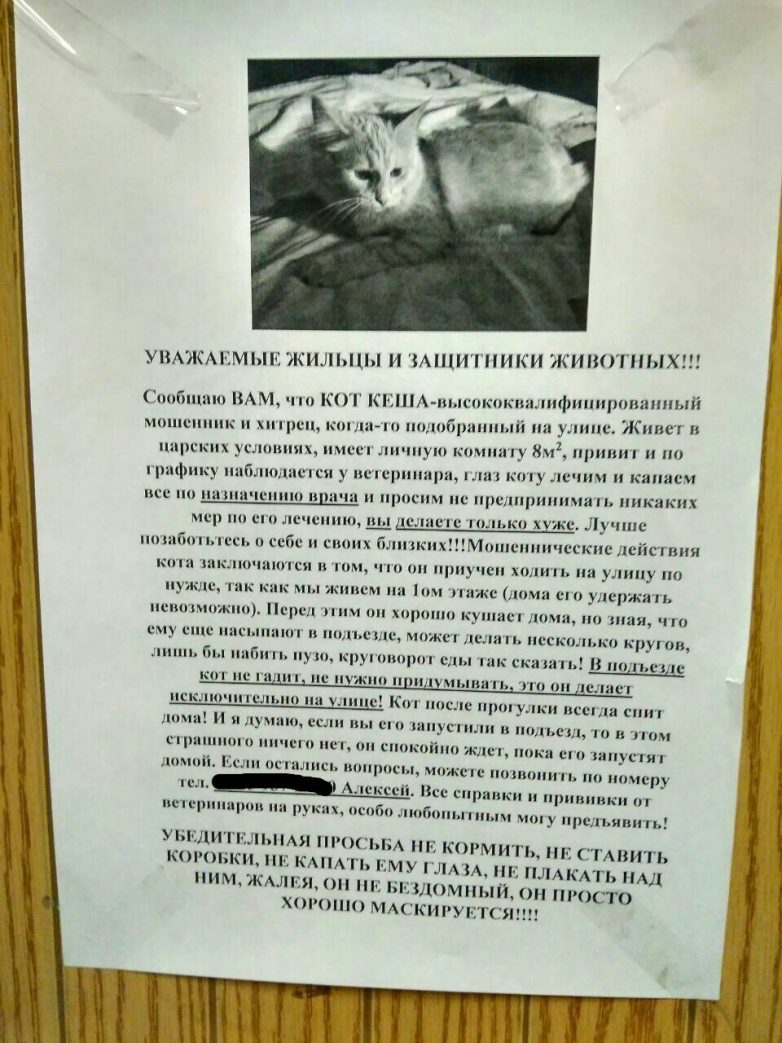 Объявление не кормить кошек в подъезде