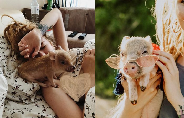 Самые популярные, заряжающие позитивом, животные в Instagram
