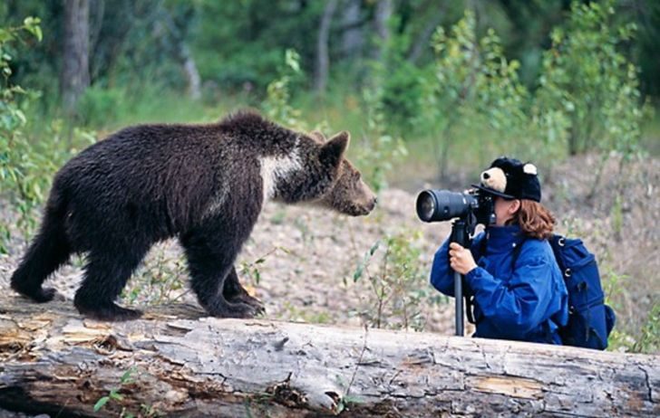 Доказательства того, что фотографы диких животных никогда не скучают на своей работе