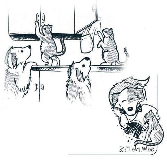 Художник, показывающий с помощью комиксов, каково жить с кошкой и собакой