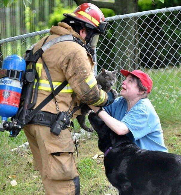 Пожарные и спасенные животинки