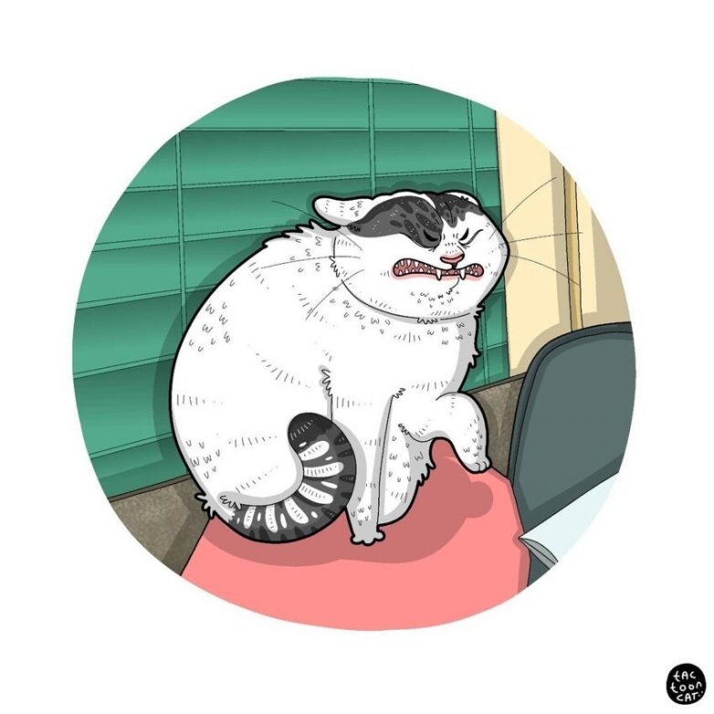 Художник превращает забавные фото котов в смешные рисунки