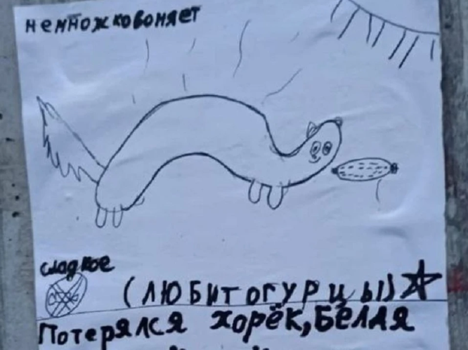 Детское объявление о пропаже хорька растрогало жителей Кубани