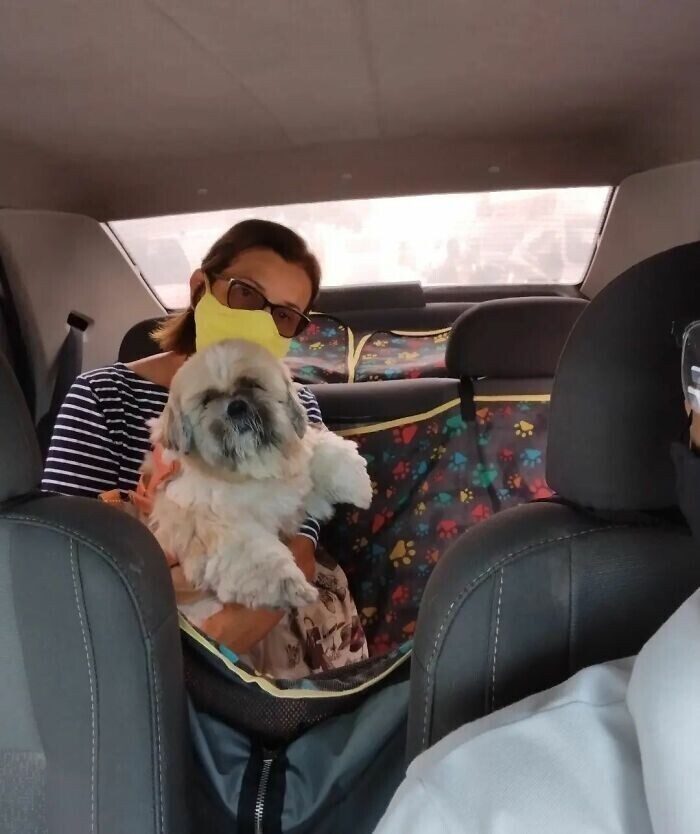Водитель такси для домашних животных делает селфи с ними