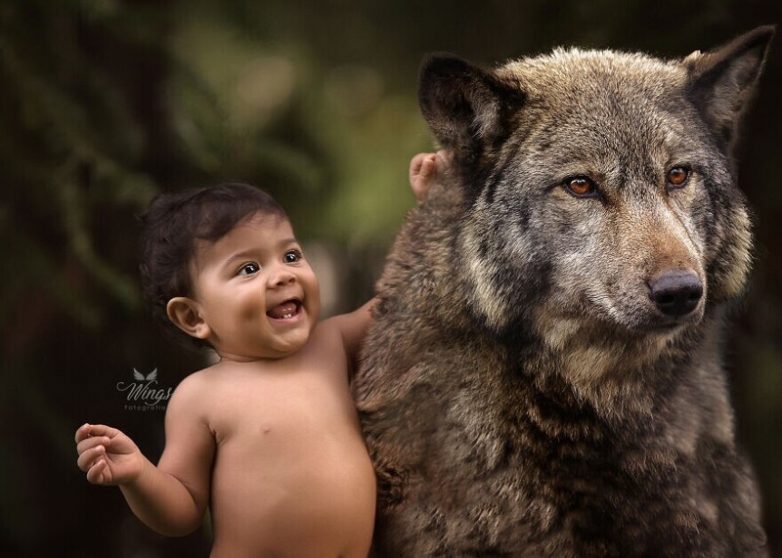 Сказочные фото детей с дикими животными