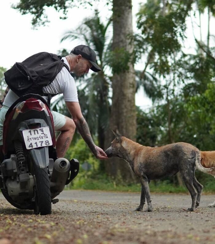 Мужчина поборол алкоголизм, и нашёл свою миссию в спасении собак