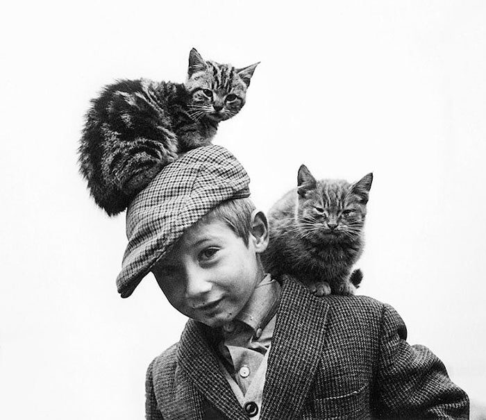 40 ретро-снимков с кошками