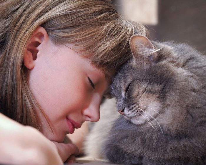 5 причин, почему кошки лижут волосы хозяина