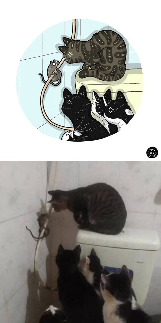 Интересные иллюстрации перерисованные с популярных фотографий с кошками