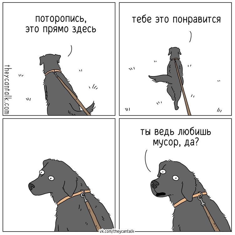 Юморные комиксы про животных