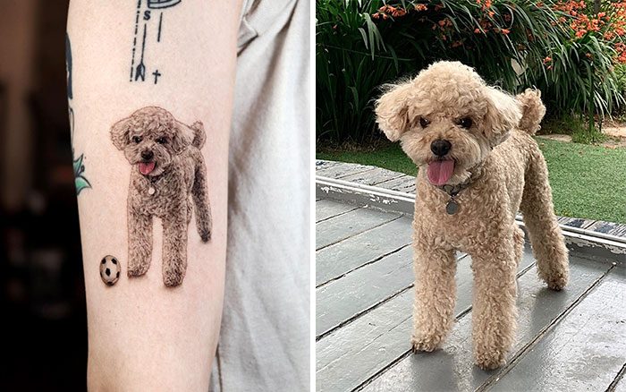 Татуировки домашних животных, которые выглядят точь-в-точь как настоящий питомцы
