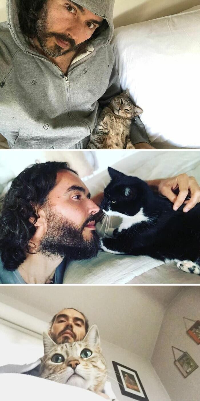 Знаменитости, которые обожают котиков