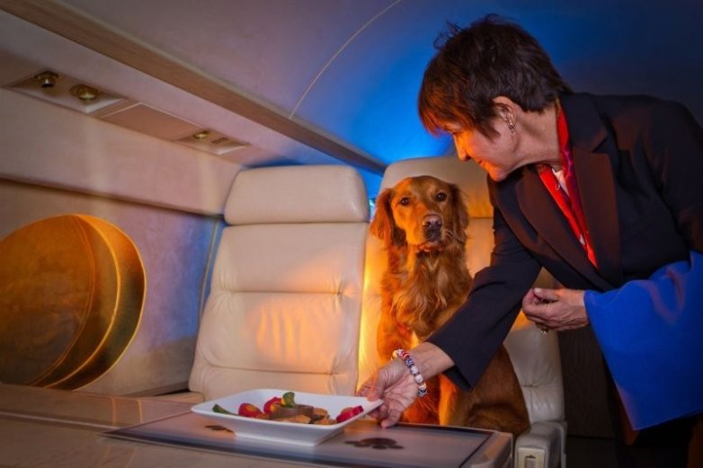 В авиакомпании &quot;Аэрофлот&quot; разрешили брать на борт домашних животных