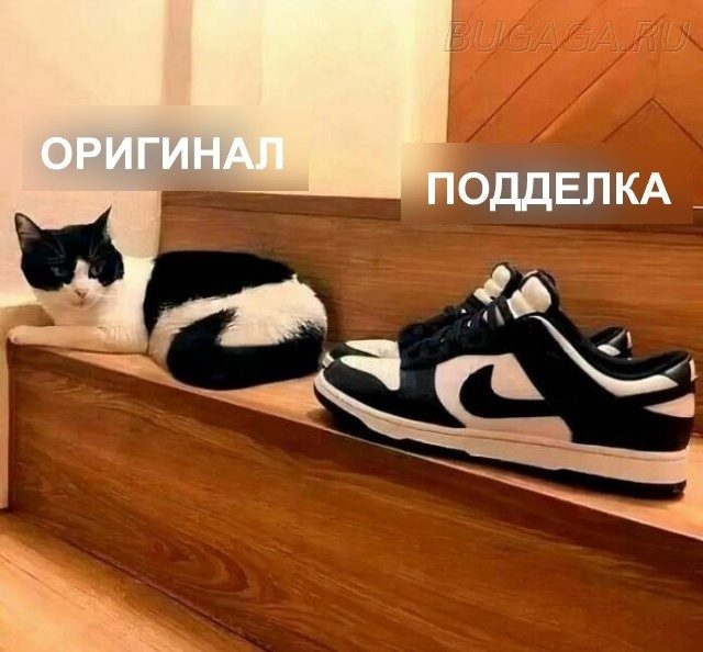 КОТОмемы