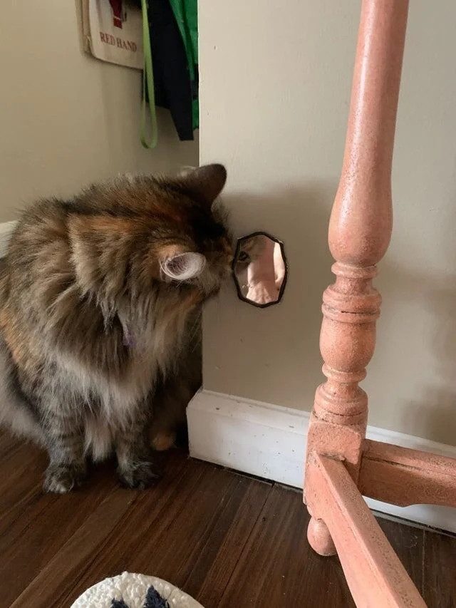 «Кто здесь?!»