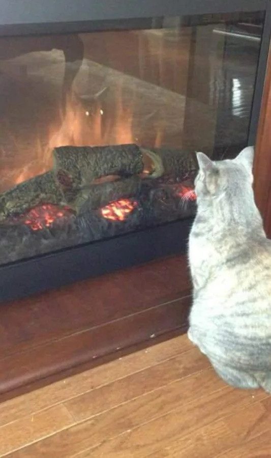 «Кто здесь?!»