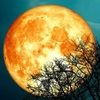 Стильные причёски после 50 лет / Все для женщины