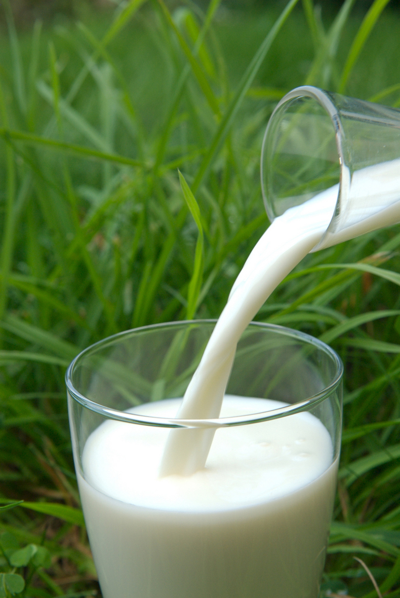 Признаки того, что вам нельзя пить молоко / Будьте здоровы